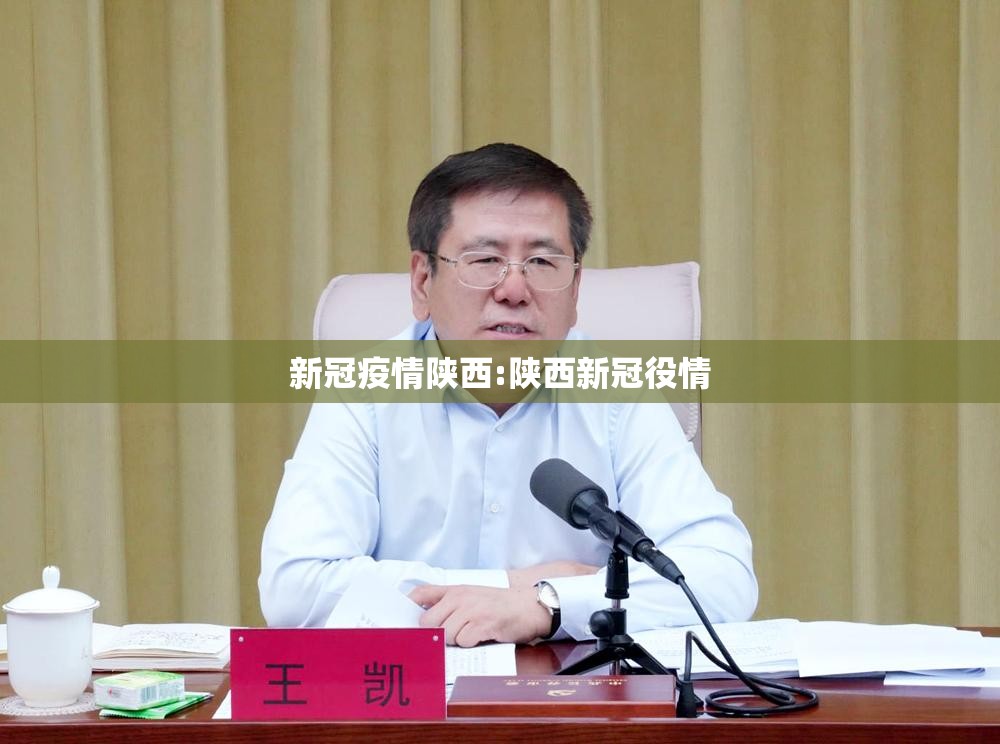 新冠疫情陕西:陕西新冠役情