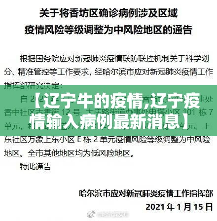 【辽宁牛的疫情,辽宁疫情输入病例最新消息】