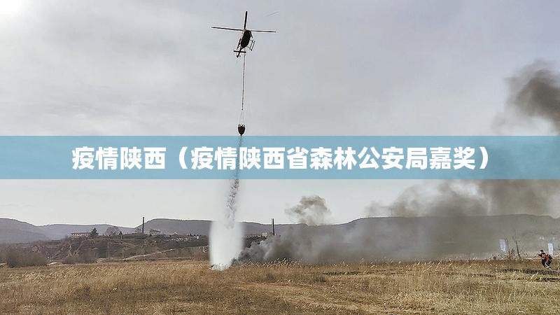 疫情陕西（疫情陕西省森林公安局嘉奖）