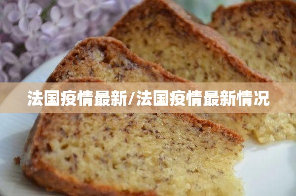 法国疫情最新/法国疫情最新情况