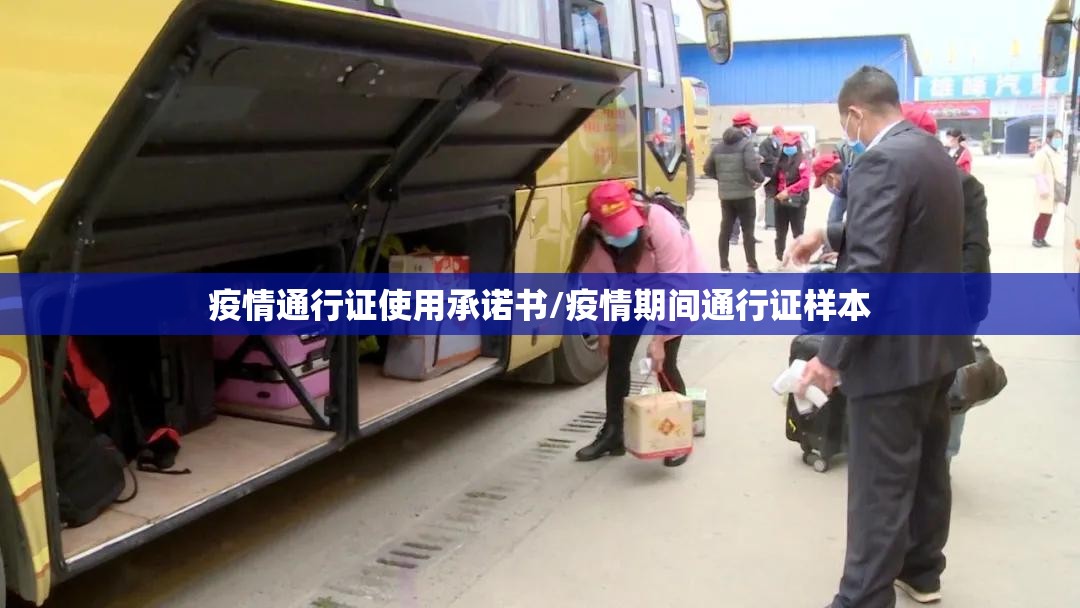 疫情通行证使用承诺书/疫情期间通行证样本 疫情通行证使用承诺书/疫情期间通行证样本