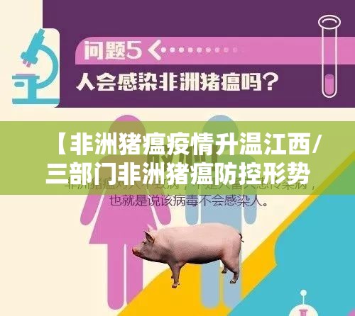 【非洲猪瘟疫情升温江西/三部门非洲猪瘟防控形势十分严峻 疫情已在17省份】