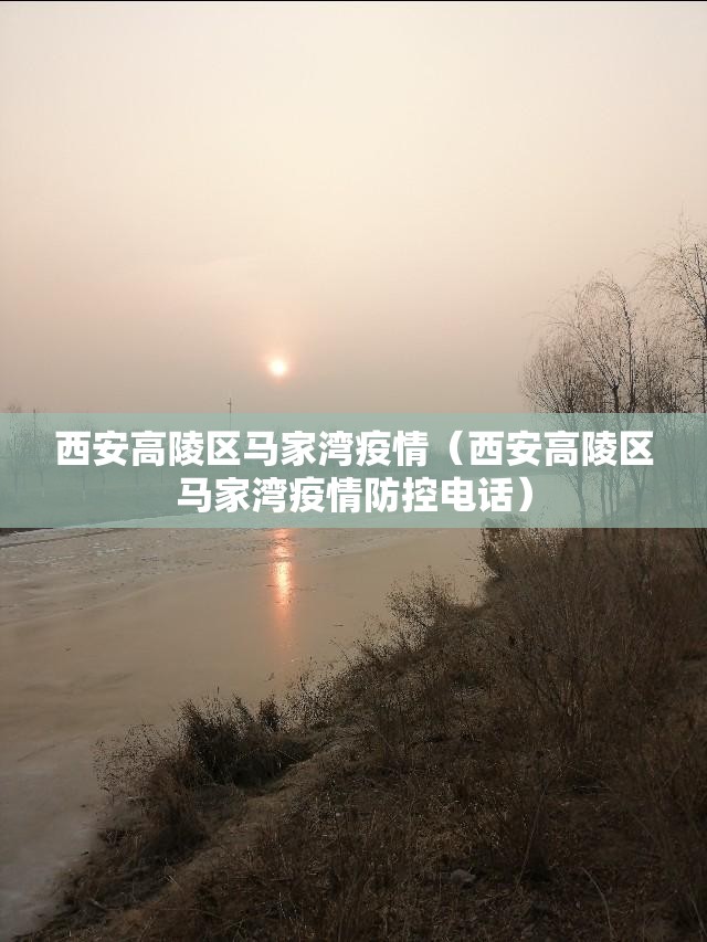 西安高陵区马家湾疫情（西安高陵区马家湾疫情防控电话）