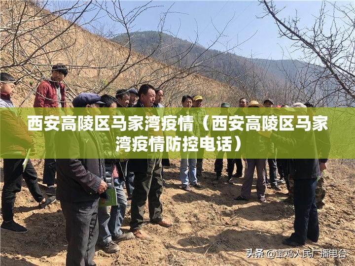西安高陵区马家湾疫情（西安高陵区马家湾疫情防控电话）