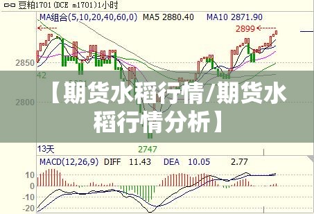 【期货水稻行情/期货水稻行情分析】