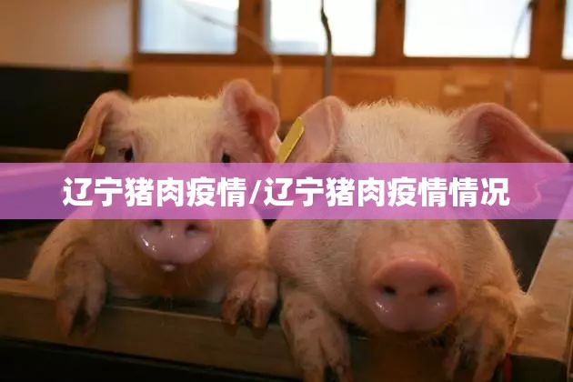 辽宁猪肉疫情/辽宁猪肉疫情情况 辽宁猪肉疫情/辽宁猪肉疫情情况