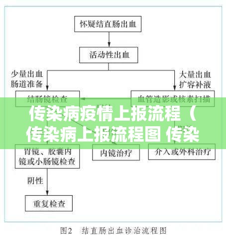 传染病疫情上报流程(传染病上报流程图 传染病监测) 传染病疫情上报流程(传染病上报流程图 传染病监测)