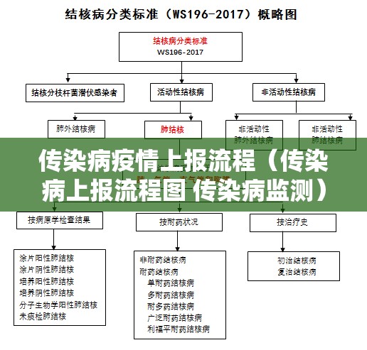 传染病疫情上报流程(传染病上报流程图 传染病监测) 传染病疫情上报流程(传染病上报流程图 传染病监测)