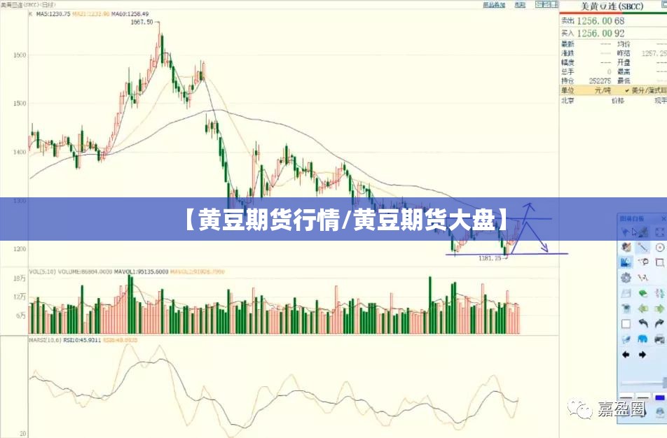 【黄豆期货行情/黄豆期货大盘】