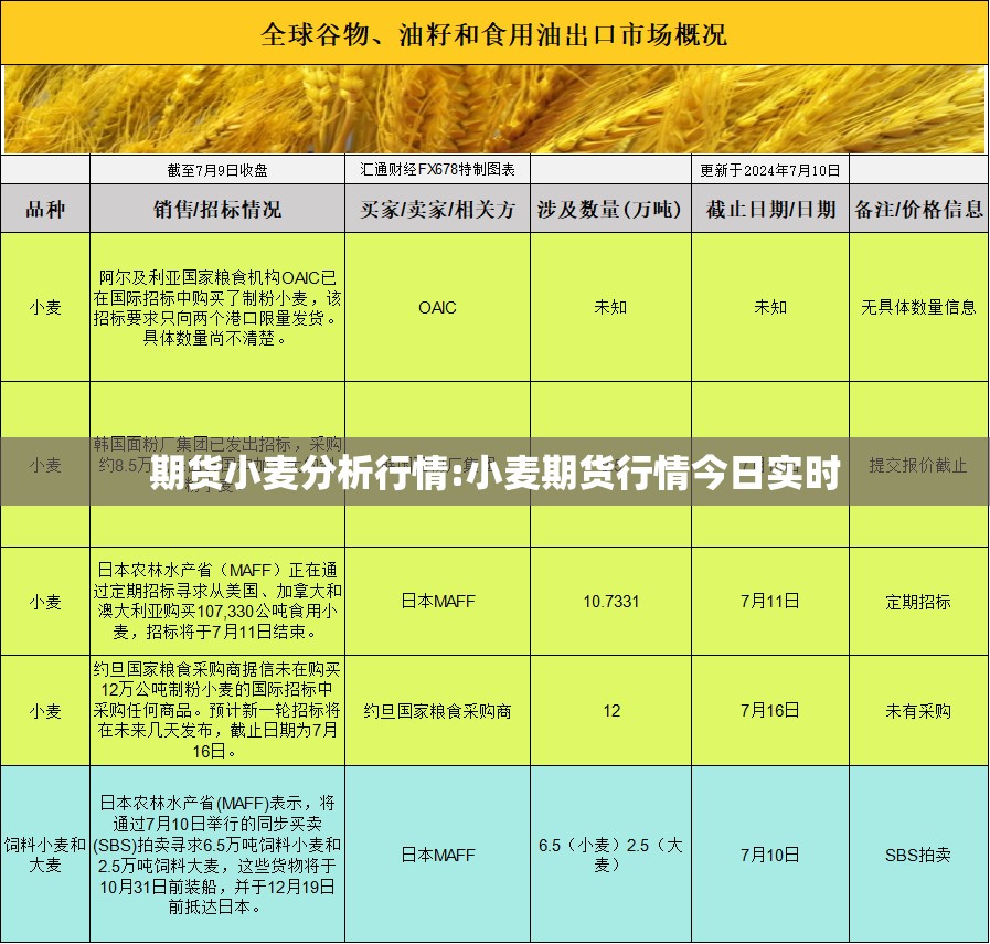 期货小麦分析行情:小麦期货行情今日实时