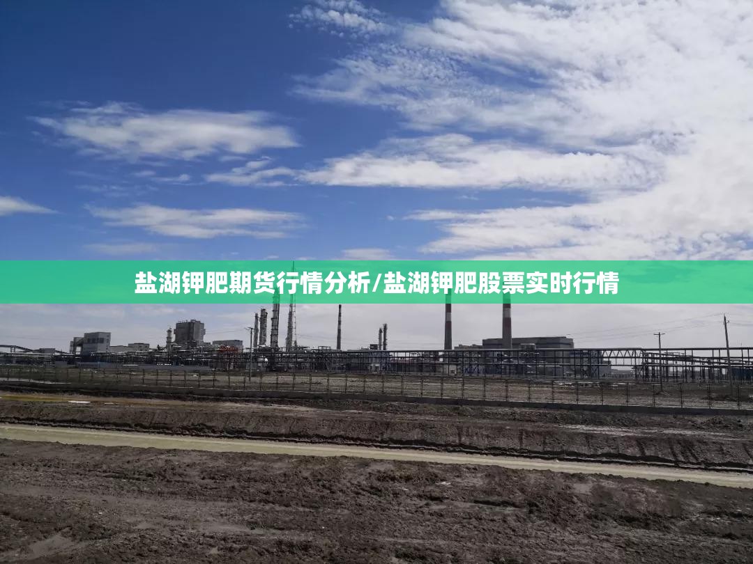 盐湖钾肥期货行情分析/盐湖钾肥股票实时行情