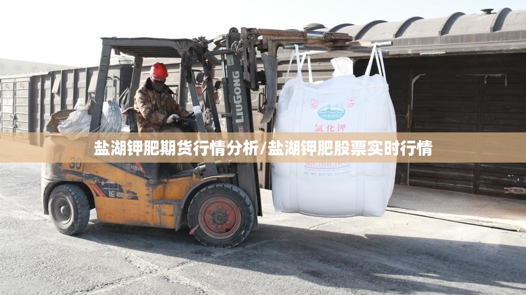 盐湖钾肥期货行情分析/盐湖钾肥股票实时行情