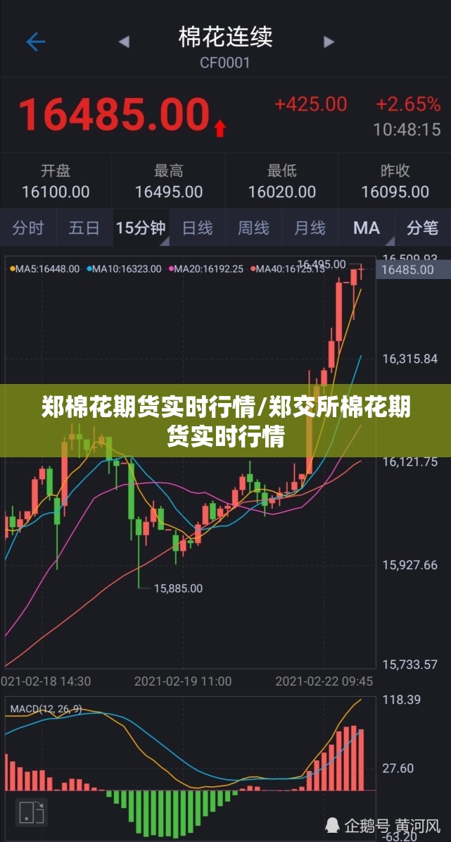 郑棉花期货实时行情/郑交所棉花期货实时行情 郑棉花期货实时行情/郑交所棉花期货实时行情