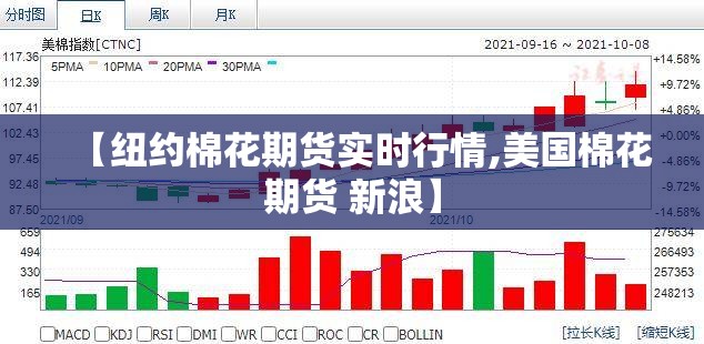 【纽约棉花期货实时行情,美国棉花期货 新浪】 【纽约棉花期货实时行情,美国棉花期货 新浪】