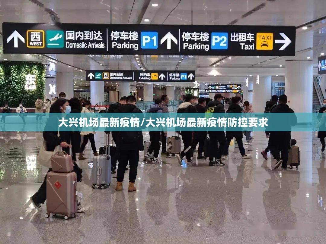 大兴机场最新疫情/大兴机场最新疫情防控要求