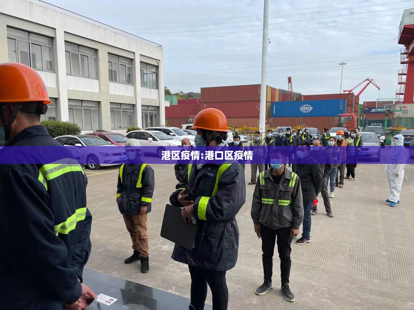 港区疫情:港口区疫情 港区疫情:港口区疫情
