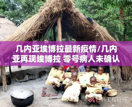 几内亚埃博拉最新疫情/几内亚再现埃博拉 零号病人未确认