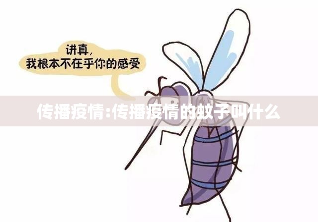 传播疫情:传播疫情的蚊子叫什么