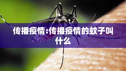 传播疫情:传播疫情的蚊子叫什么