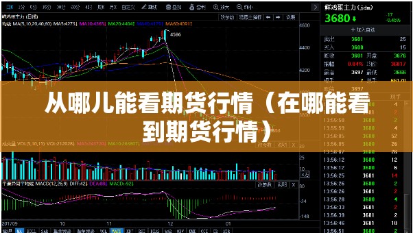 从哪儿能看期货行情(在哪能看到期货行情) 从哪儿能看期货行情(在哪能看到期货行情)