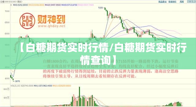 【白糖期货实时行情/白糖期货实时行情查询】