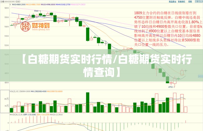 【白糖期货实时行情/白糖期货实时行情查询】