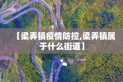 【梁弄镇疫情防控,梁弄镇属于什么街道】