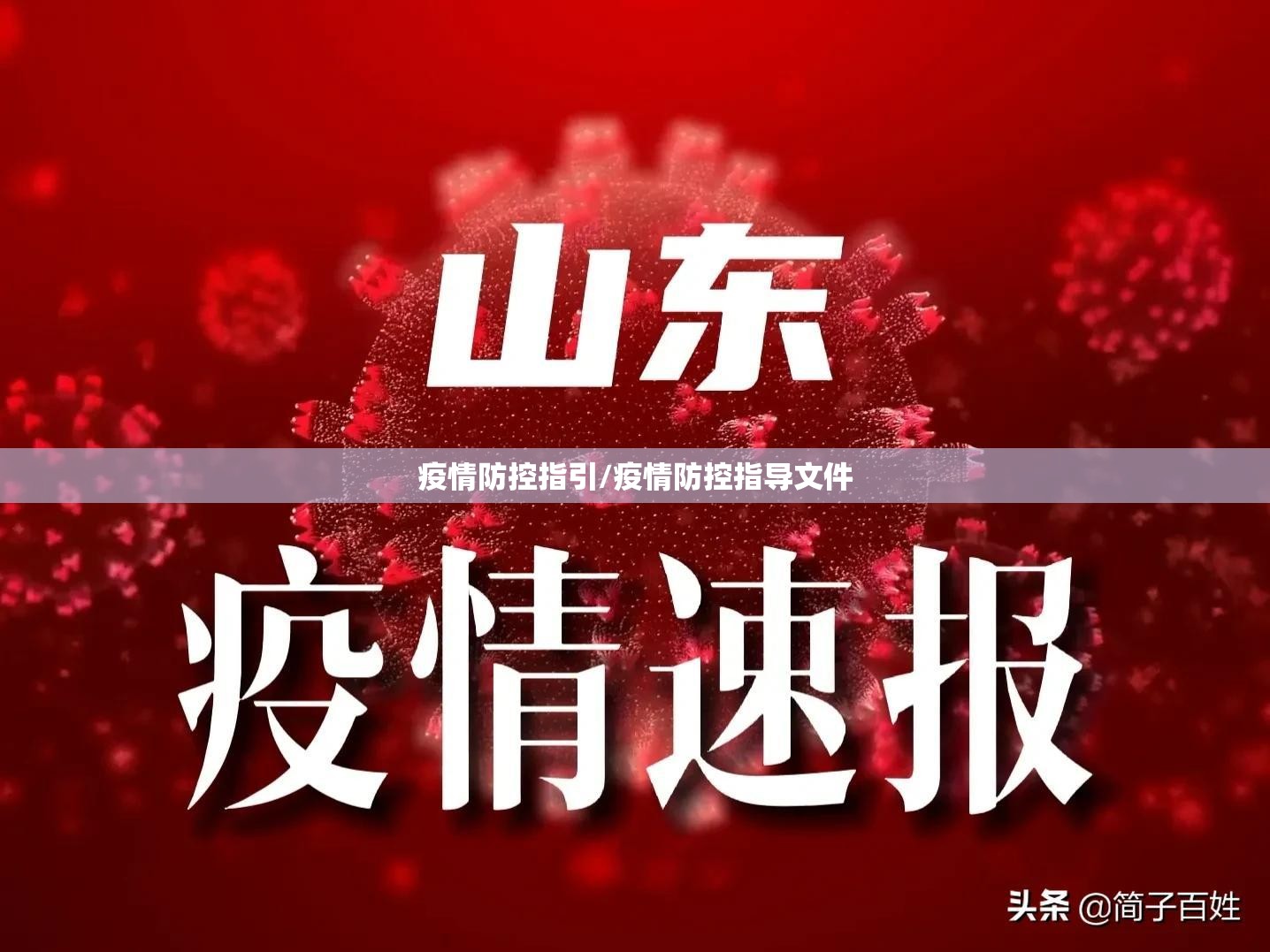 疫情防控指引/疫情防控指导文件