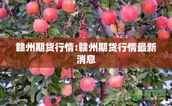 赣州期货行情:赣州期货行情最新消息 赣州期货行情:赣州期货行情最新消息