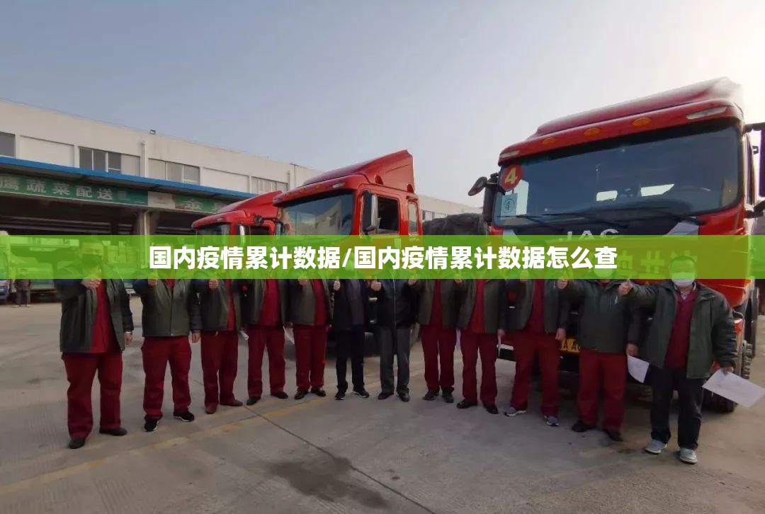 国内疫情累计数据/国内疫情累计数据怎么查 国内疫情累计数据/国内疫情累计数据怎么查