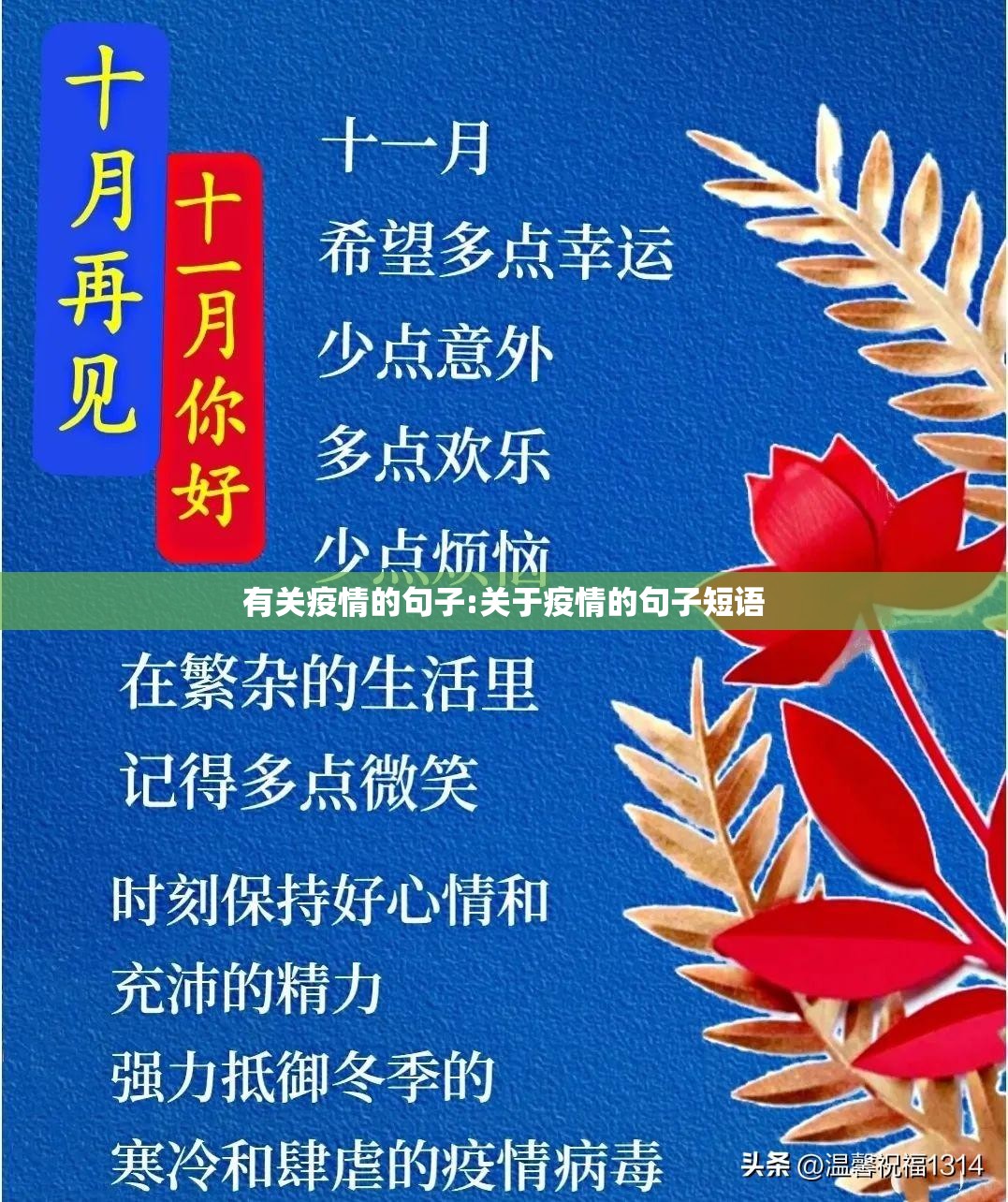 有关疫情的句子:关于疫情的句子短语