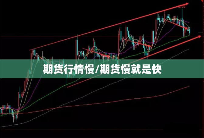 期货行情慢/期货慢就是快 期货行情慢/期货慢就是快