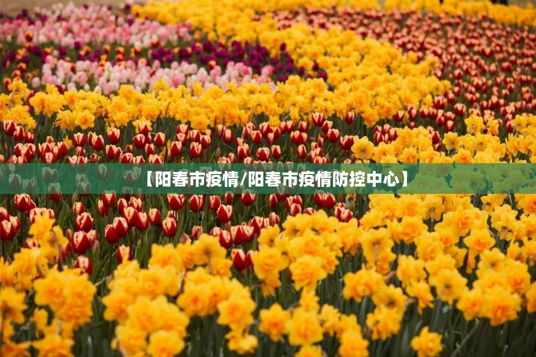 【阳春市疫情/阳春市疫情防控中心】 【阳春市疫情/阳春市疫情防控中心】