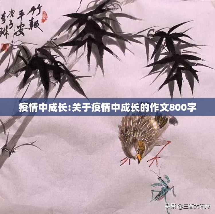 疫情中成长:关于疫情中成长的作文800字 疫情中成长:关于疫情中成长的作文800字