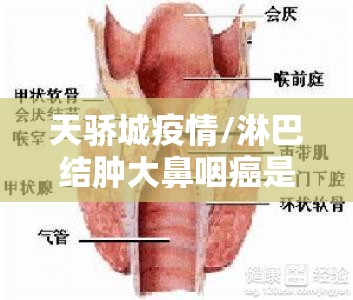 天骄城疫情/淋巴结肿大鼻咽癌是什么期