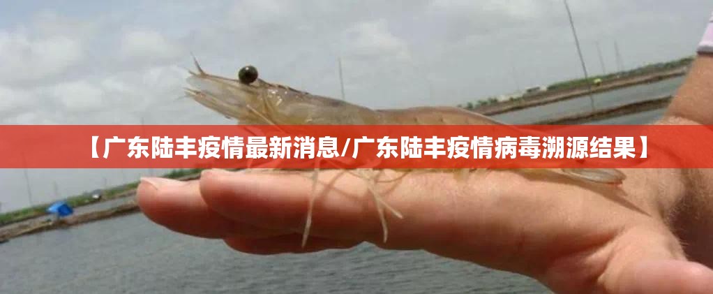 【广东陆丰疫情最新消息/广东陆丰疫情病毒溯源结果】