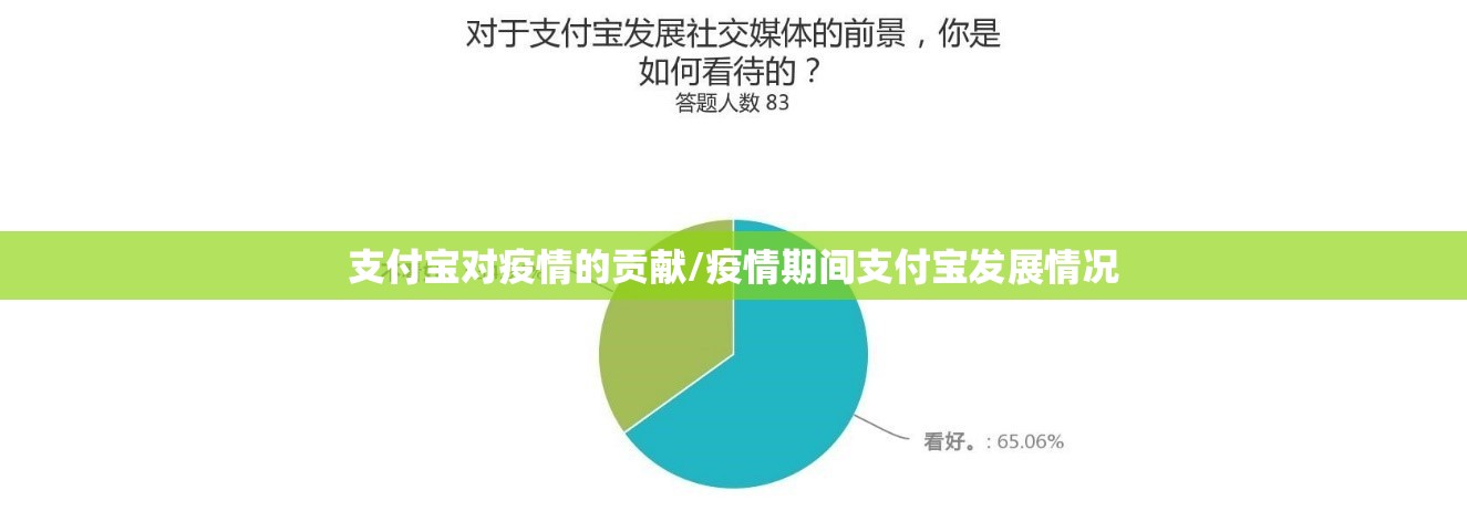 支付宝对疫情的贡献/疫情期间支付宝发展情况