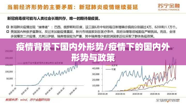 疫情背景下国内外形势/疫情下的国内外形势与政策