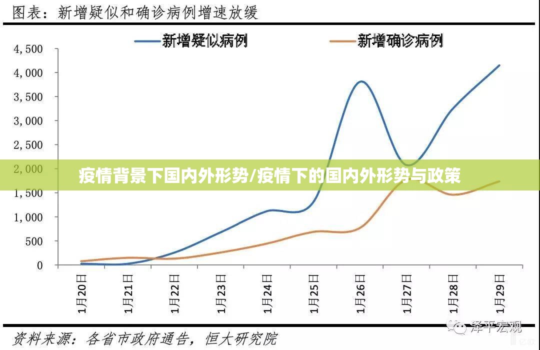 疫情背景下国内外形势/疫情下的国内外形势与政策