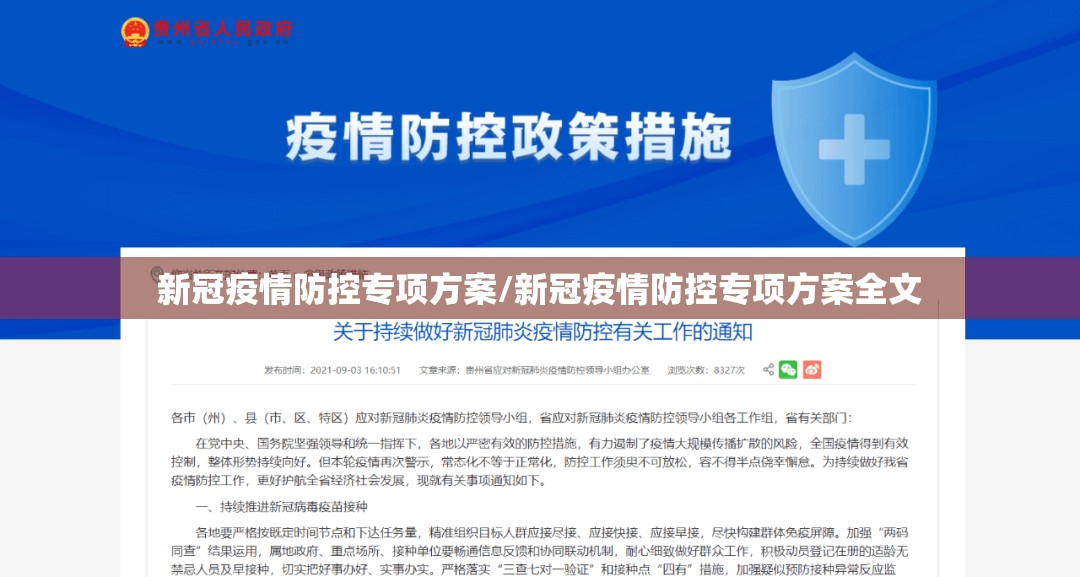 新冠疫情防控专项方案/新冠疫情防控专项方案全文
