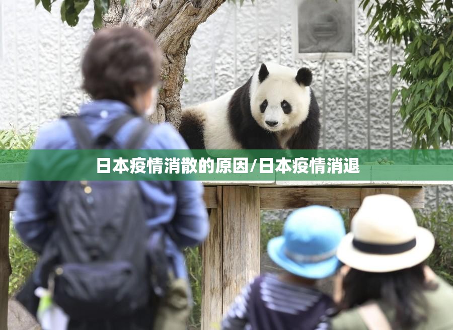 日本疫情消散的原因/日本疫情消退