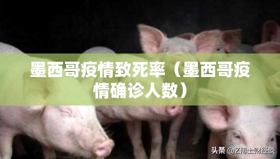 墨西哥疫情致死率(墨西哥疫情确诊人数) 墨西哥疫情致死率(墨西哥疫情确诊人数)