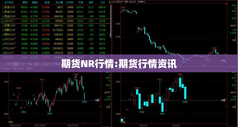 期货NR行情:期货行情资讯 期货NR行情:期货行情资讯