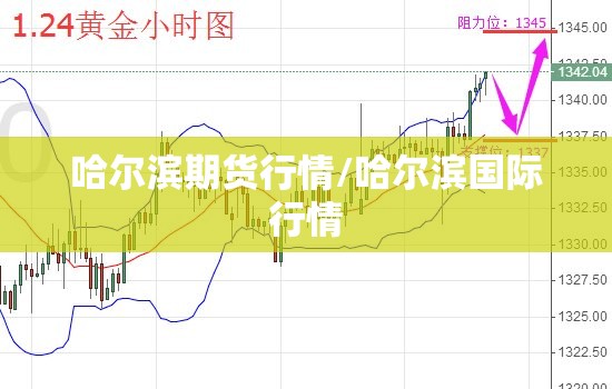 哈尔滨期货行情/哈尔滨国际行情 哈尔滨期货行情/哈尔滨国际行情