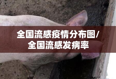 全国流感疫情分布图/全国流感发病率 全国流感疫情分布图/全国流感发病率