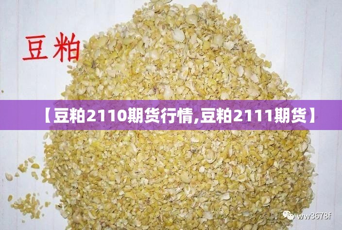 【豆粕2110期货行情,豆粕2111期货】
