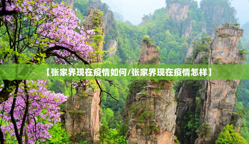 【张家界现在疫情如何/张家界现在疫情怎样】