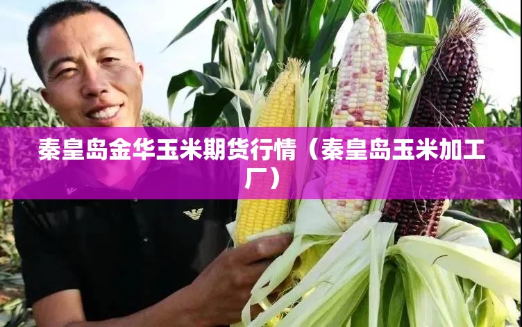 秦皇岛金华玉米期货行情（秦皇岛玉米加工厂）