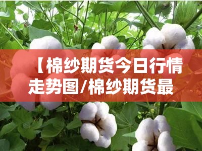 【棉纱期货今日行情走势图/棉纱期货最新行情分析】 【棉纱期货今日行情走势图/棉纱期货最新行情分析】