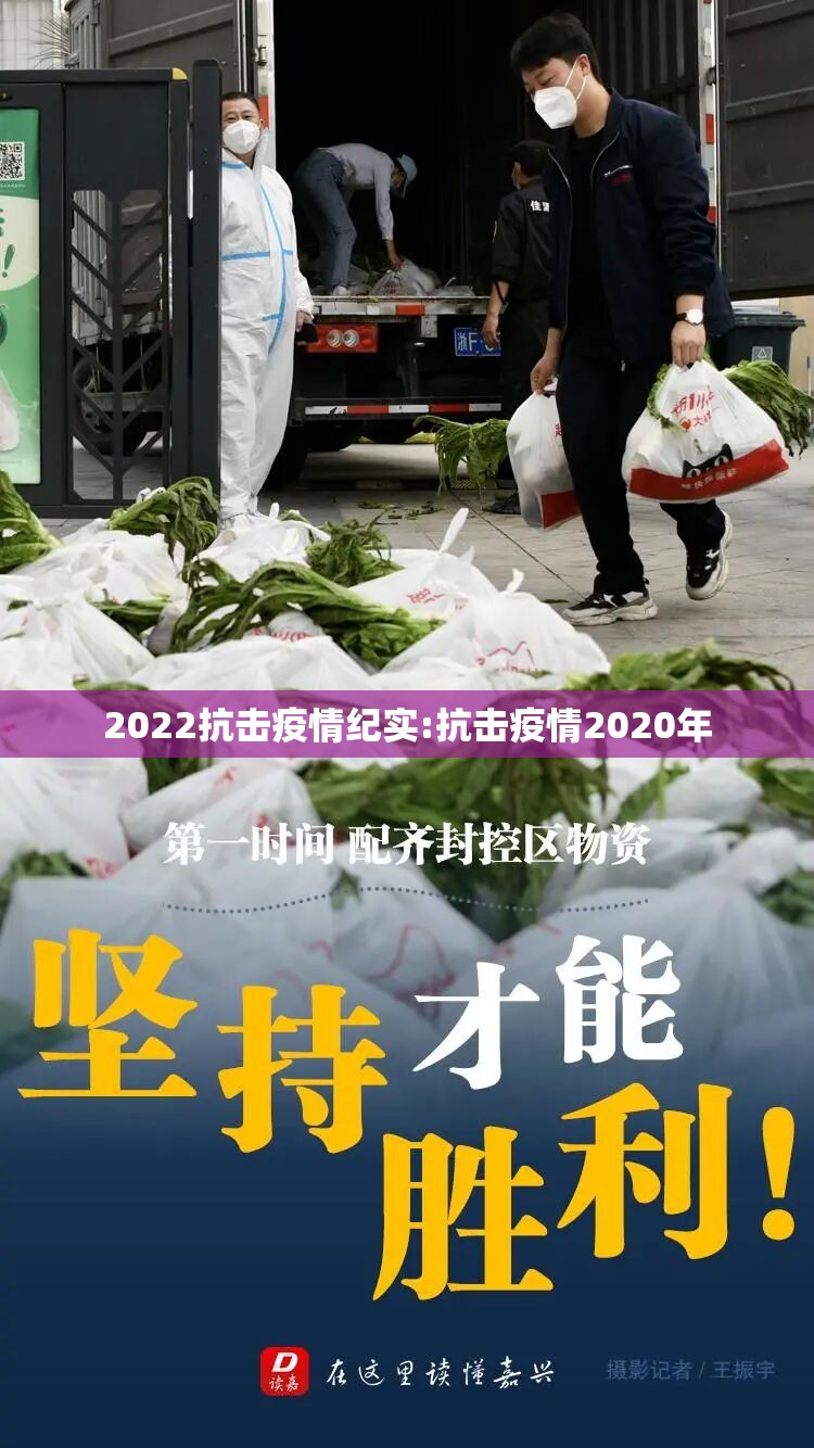 2022抗击疫情纪实:抗击疫情2020年